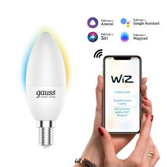 1110112 Лампа Светодиодная Gauss Smart Home DIM+CCT E14 C37 5 Вт 1/10/100