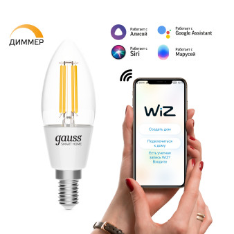 1230112 Лампа светодиодная филаментная Gauss Smart Home DIM E14 C35 4,5 Вт 1/10/40