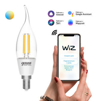 1280112 Лампа светодиодная филаментная Gauss Smart Home DIM+CCT E14 CF35 4,5 Вт 2000-6500 К 1/10/40