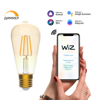 1290112 Лампа светодиодная филаментная Gauss Smart Home DIM E27 ST64 Golden 7 Вт 1/10/40