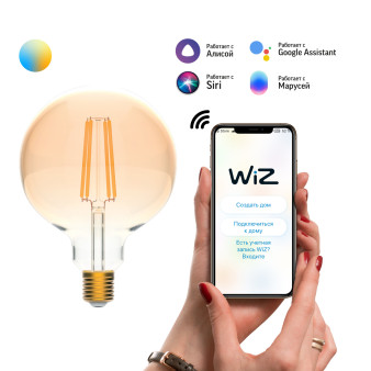 1340112 Лампа светодиодная филаментная Gauss Smart Home DIM+CCT E27 G95 Golden 6,5 Вт 2000-5500 К 1/40